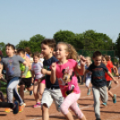 XV. Greiner Szigetköz Félmaraton