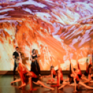 FlexArt Dance (Fotó: Stipkovits Veronika és Bánhegyi István)