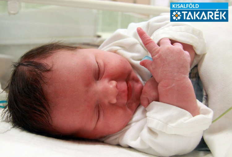 Horváth Krisztofer, Mosonmagyaróvár