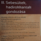 Emlékezzünk a Nagy Háborúra (Fotó: Bánhegyi István)