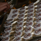 Kossuth Lajos Gimnázium szalagtűző - Ünnepség