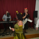 19. Jótékonysági Maskara Bál (Fotó: Nagy Mária)