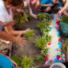 Apró Kezek, Csodakertek