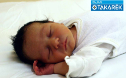 Ács-Molnár István, Osli