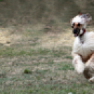 XI. Szigetköz ízei, Vármegye borai Fesztivál 3. nap 