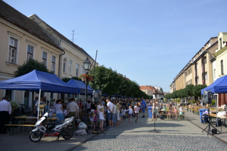 VII. Apró kezek, csodakertek Gyermek Kertépítő verseny