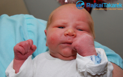 Ludvig Donát, 3840 gr. Halászi