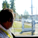 Entente Florale Day Mosonmagyaróvár - Virágzó Város Mosonmagyaróvár (Fotó: Bánhegyi István)