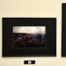 TERMÉSZETI ÉRTÉKEINK Fotókiállítás 