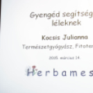 A lélek orvossága(i) - Mutass Utat 2015 - programsorozat (2) (Fotó: Horváth Attila)