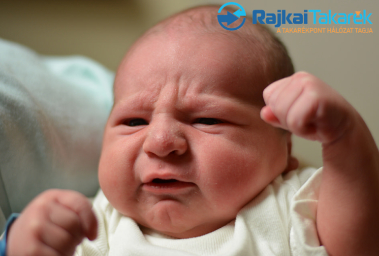 Maász Balázs, Hegyeshalom