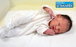 Horváth Franka, Beled