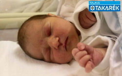 Wennesz József Milán, Mosonmagyaróvár