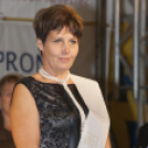 Szigetköz ízei vármegye borai fesztivál /szombat/