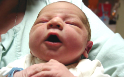 Fülöp Balázs Noel 4140 gr, Móvár