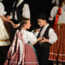 Nyárcsalogató (Fotó: Nagy Mária)