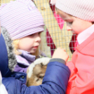 Húsvét a Pillangó Óvoda és Minibölcsiben 