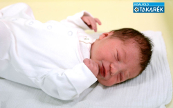 Sléber Ádám, Kapuvár