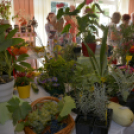 Termény- és virágkiállítás 