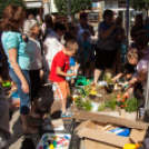 Apró Kezek, Csodakertek