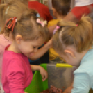 Pillangó Óvoda és Mini Bölcsőde, kolbásztöltés 