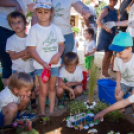 Apró kezek, Csodakertek - IX. Gyermek Kertépítő Verseny