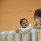 Nyárcsalogató (Fotó: Nagy Mária)