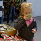 Pillangó Óvoda és Mini Bölcsőde családi nap az Alma együttessel 