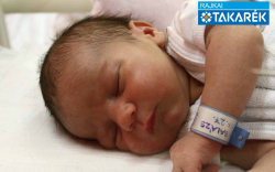 Nagy Balázs, Mosonszolnok