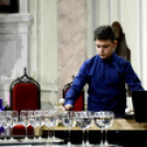 Dr. Sattler János Alapítvány jótékonysági adventi koncert