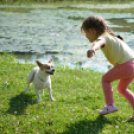 MVSE - Kajak kenu szakosztály Vártó takarítása (Fotó: Nagy Mária)