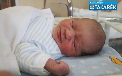 Laczkó Bence, Mosonmagyaróvár