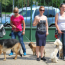 Családi nap a Gyerekek Átmeneti Otthonában