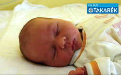 Andorka Zalán, Mosonmagyaróvár