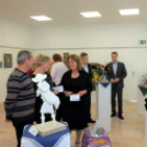 Színek, formák, pillanatok