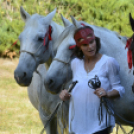 XI. Szigetköz ízei, Vármegye borai Fesztivál 2. nap Várárok