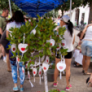 Apró Kezek, Csodakertek