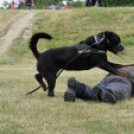 4. Kéklámpás Nap (Fotó: Horváth Attila)