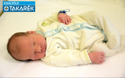 Stróbl Botond Vilmos, Darnózseli