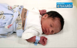 Varga Bence József, Mosonmagyaróvár