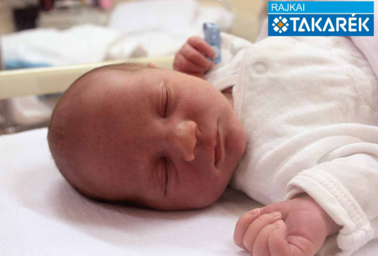 Dallos Zalán, Hegyeshalom