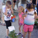 VII. Apró kezek, csodakertek Gyermek Kertépítő verseny