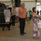 XII. Szigetköz ízei, Vármegye borai Fesztivál 3. nap