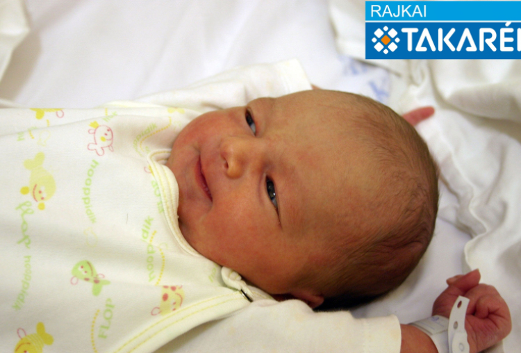 Fazekas Dávid, Mosonmagyaróvár