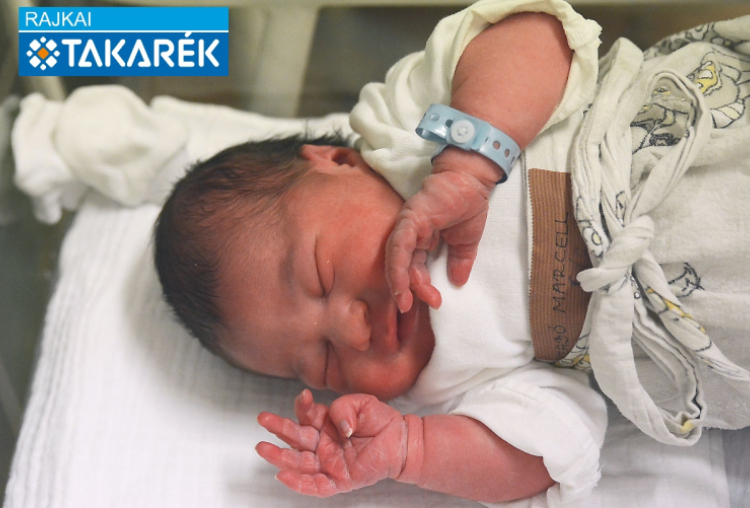 Szabó Marcell, Dunasziget