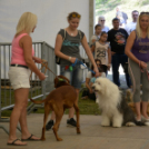 XII. Szigetköz ízei, Vármegye borai Fesztivál 3. nap