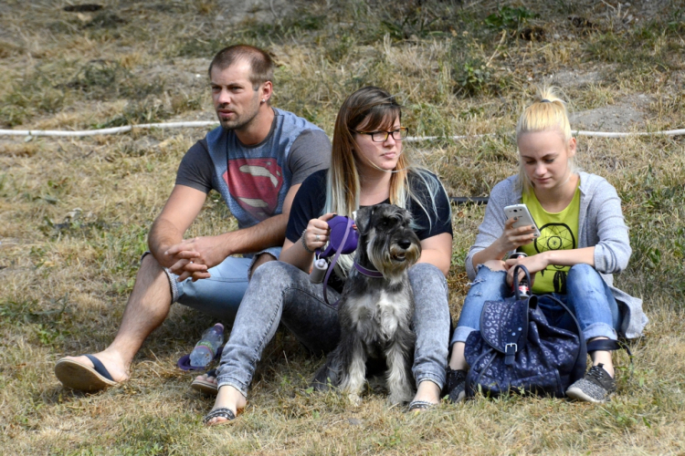 XI. Szigetköz ízei, Vármegye borai Fesztivál 3. nap 