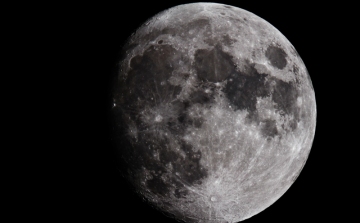 Átfogó felmérés készült a holdvilág állatokra gyakorolt hatásáról