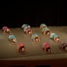 Jótékonysági műsor - Fehér és Máltai Szeretetszolgálat az Éltes iskola javára (Fotó: Horváth Attila)