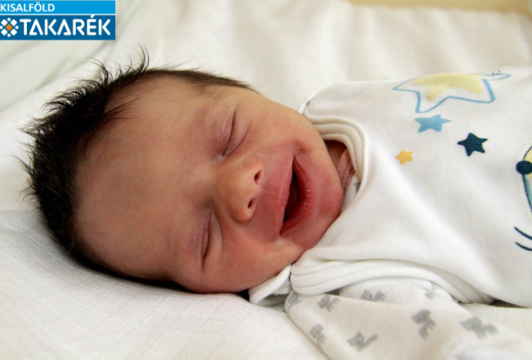 Petrekovits Dávid Tibor, Máriakálnok